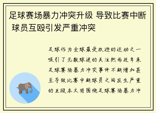 足球赛场暴力冲突升级 导致比赛中断 球员互殴引发严重冲突
