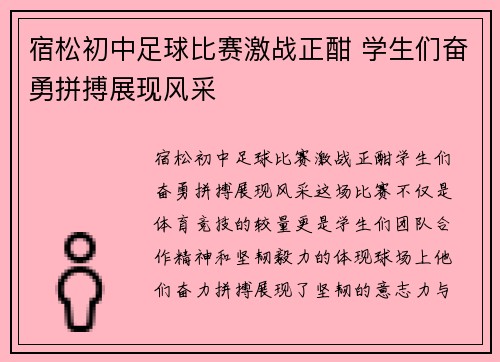 宿松初中足球比赛激战正酣 学生们奋勇拼搏展现风采