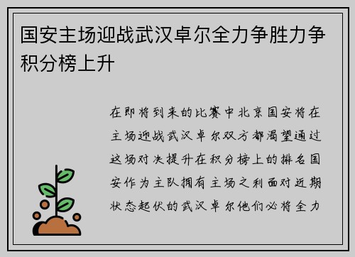 国安主场迎战武汉卓尔全力争胜力争积分榜上升