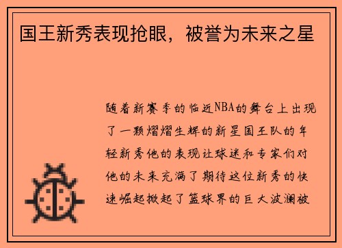 国王新秀表现抢眼，被誉为未来之星
